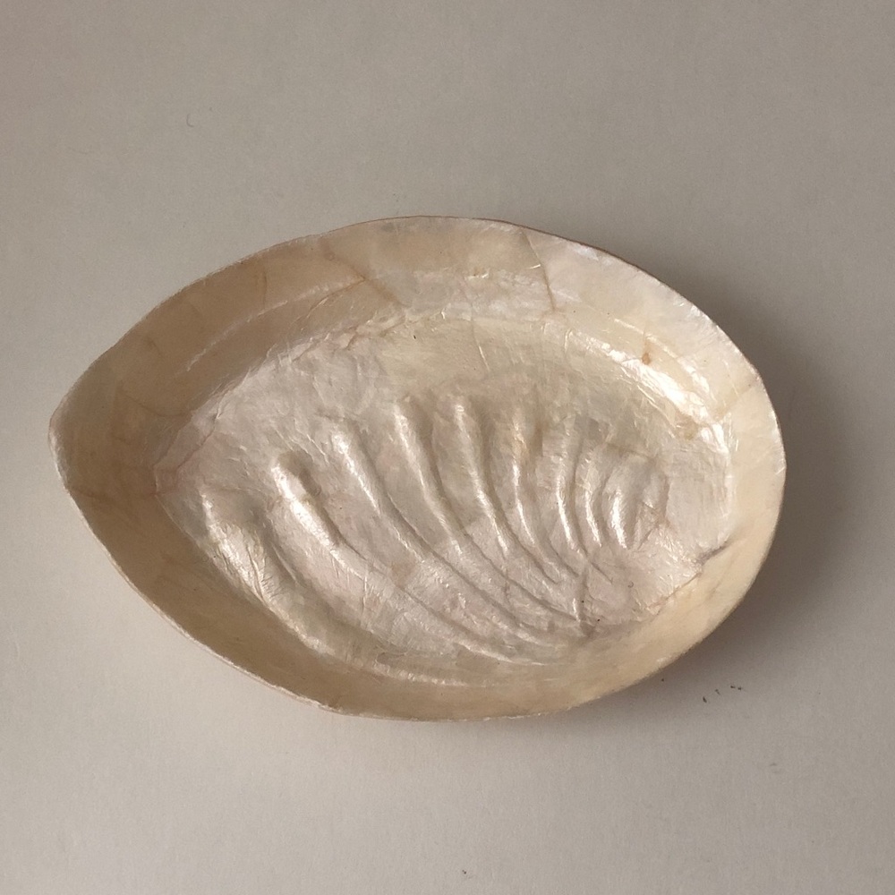 NEW Capiz shell jewelry or soap dish